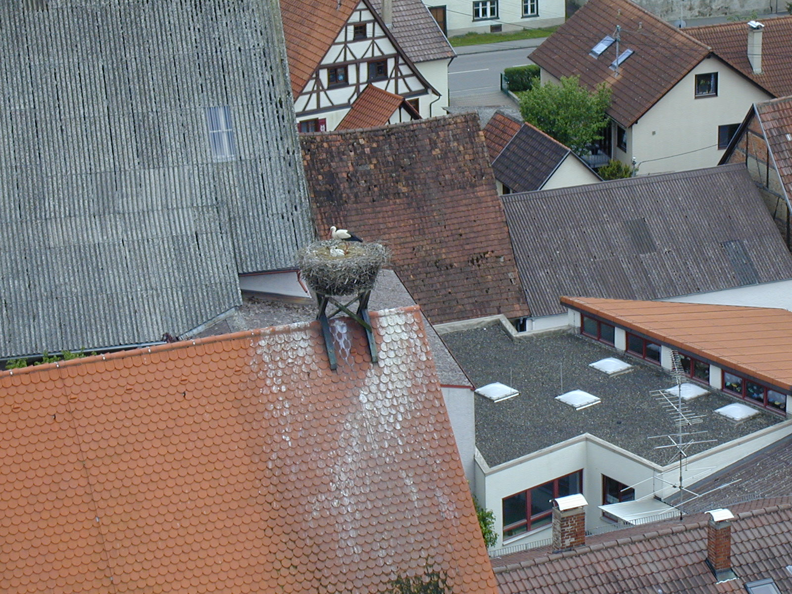  Blick vom Kirchturm Unlingen ins Storchennest 